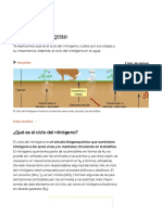 Fotosíntesis - Concepto, Fases, Características y Ecuación