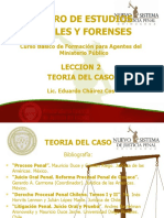 Curso MP Lección 2 Teoría Del Caso