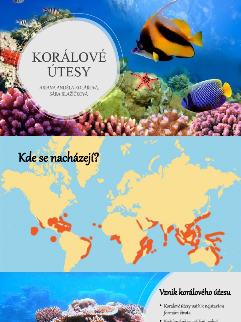 Korálové Útesy | PDF