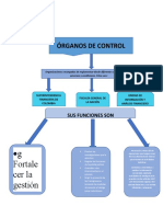 Mapa Conceptual Órganos de Control