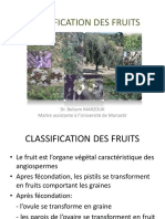Classification Des Fruits