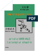 Trimis-Marele Pumn Rosu, Artele Martiale La Templul Shaolin