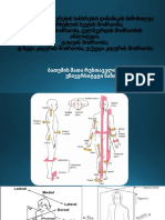 2. სხეულის და კიდურების სახსრების დინამიკის მიმოხილვა
