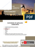 Sector Hidrocarburos Exposicion