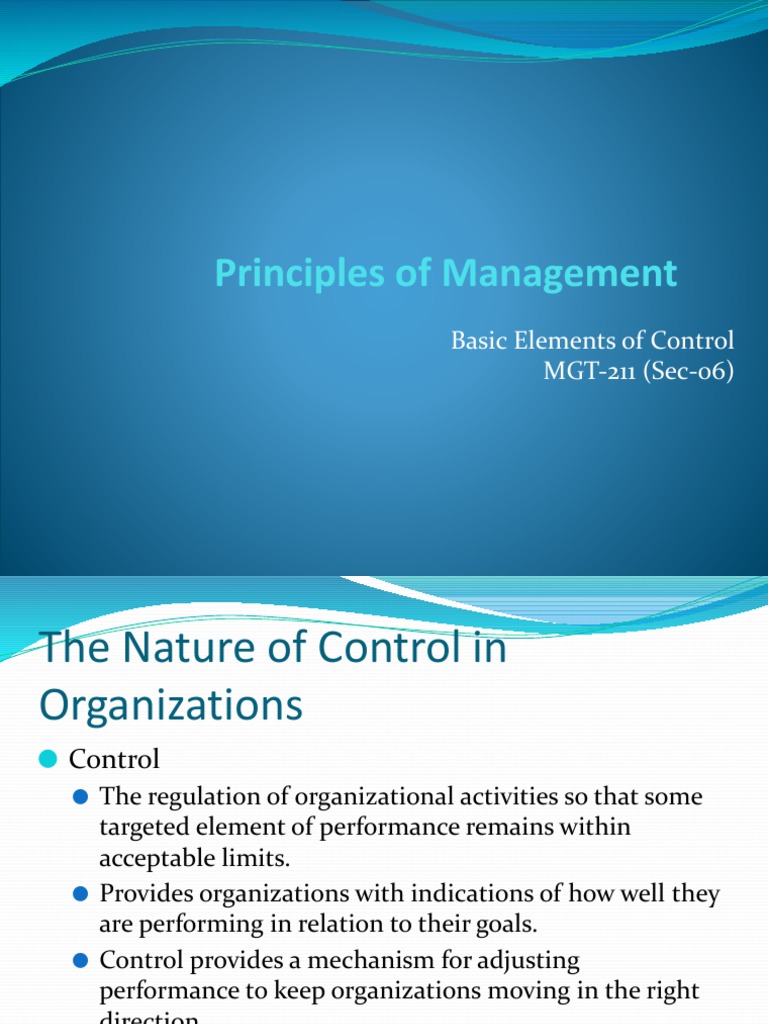 Chapter 20 - Basic Elements of Control | PDF | Budget | Business