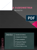 Tema 9 Geo