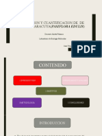 Extracción y cuantificación de ADN en maracuya (Passiflora edulis): Un análisis comparativo de los métodos de Doyle y Doyle y Dellaporta