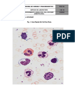 Fig. 1_ Guía Rápida Del Cell Dyn Ruby