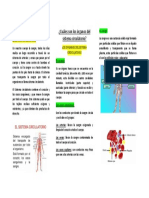 Qué Es El Sistema Circulatorio