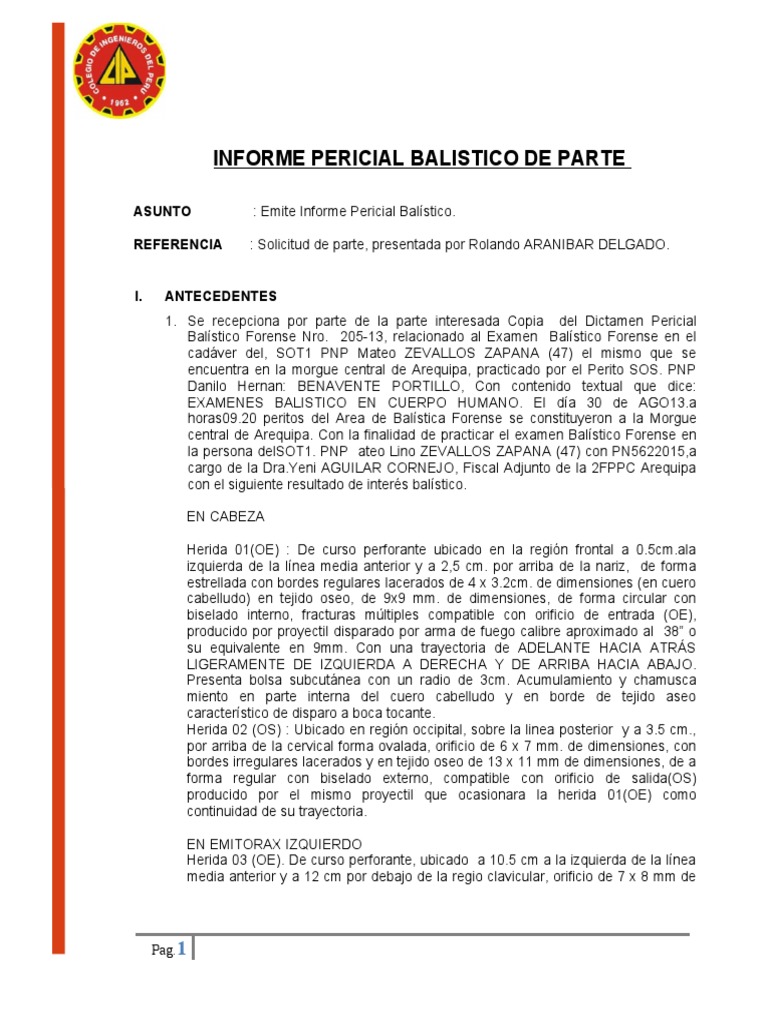 informe-pericial-balistico-pdf-bal-stica
