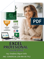 Dossier Excel Profesional