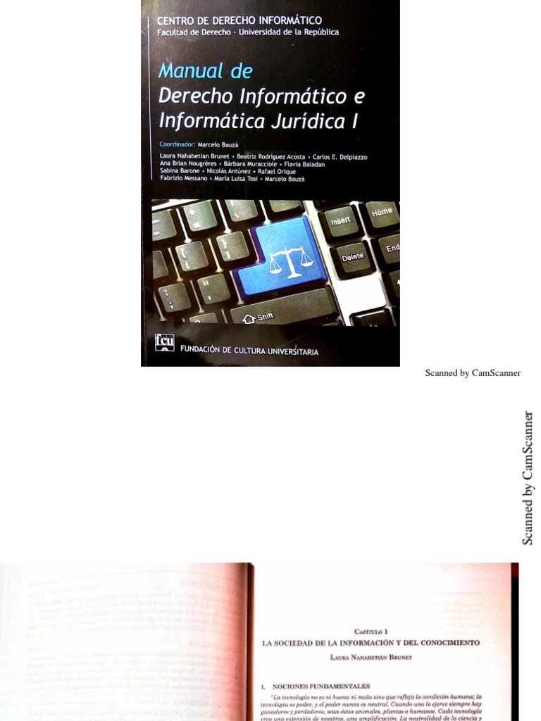 Manual de Derecho Informático e Informática Juridica 1 | PDF