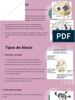Alexias, Agrafias y Acalculia