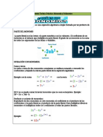 Monomios y Polinomios