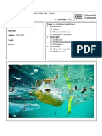 Plantilla de Boletín A Presentar