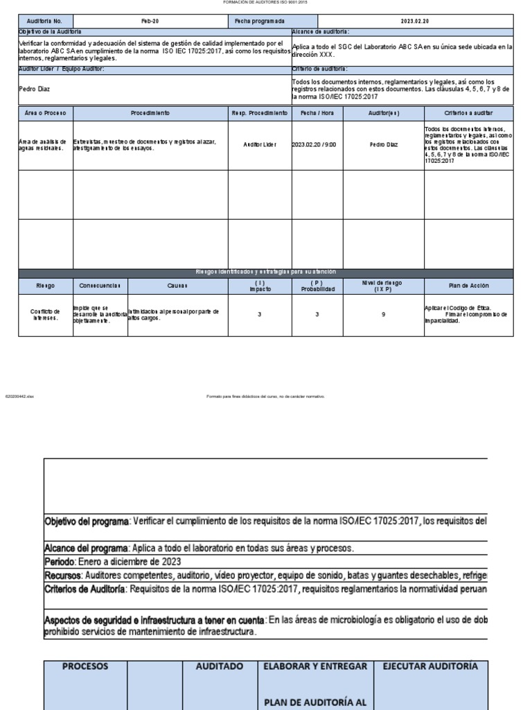 Formato Plan y Programa de Auditoría Interna | PDF | Auditoría | Contralor