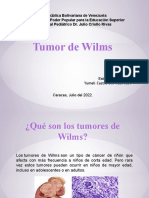 Tumor de Wilms (Yumeli)