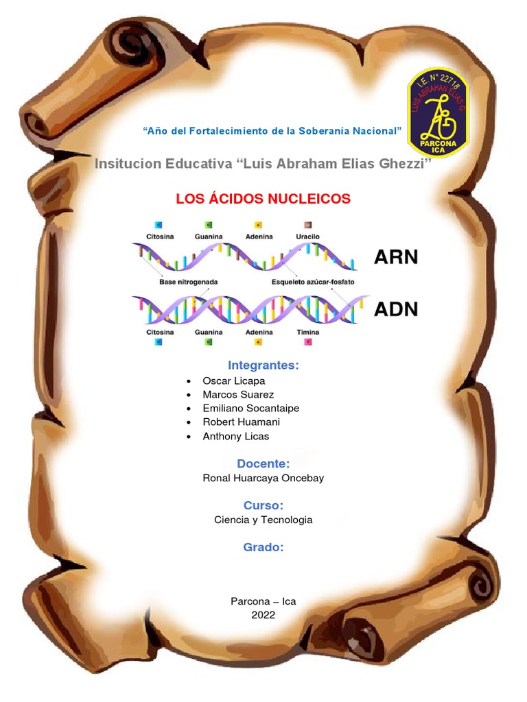 Acidos Nucleicos | PDF | Rna | Adn