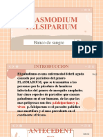 Plasmodium Falsiparum