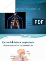 El Sistema Respiratorio Benja