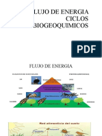 Ciclos Biogeoquimicos I