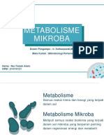 Ppt. Metabolisme Mikroba Nur Faiza Alwin