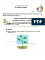 Ciencias 3ºB GUÍA Estructuras de Las Plantas