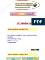 Tema 3. - Clasificacón - Histologia Vegetal