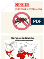 Projeto de Combate À Dengue