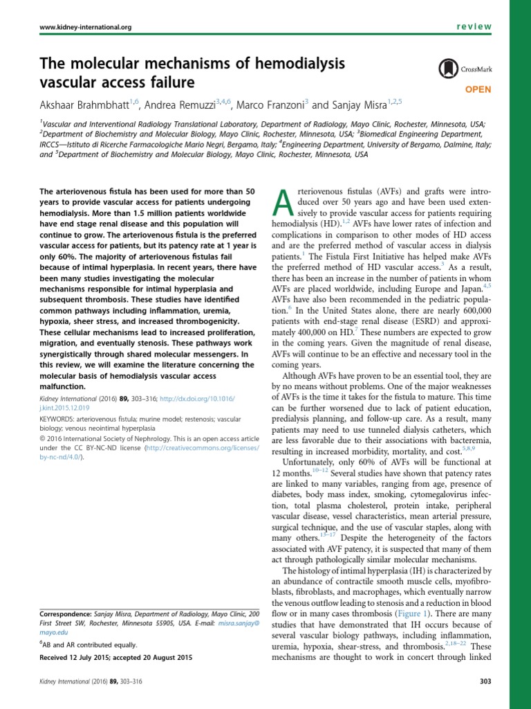 Fistula Arteriovenosa PDF Transforming Growth Factor Beta Chemokine