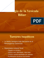 Higado y Vias Biliares