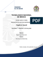 Actividad 7 - Medina Perla