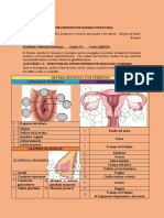 SistemaReproductivo