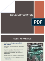 Golgi Apparatus