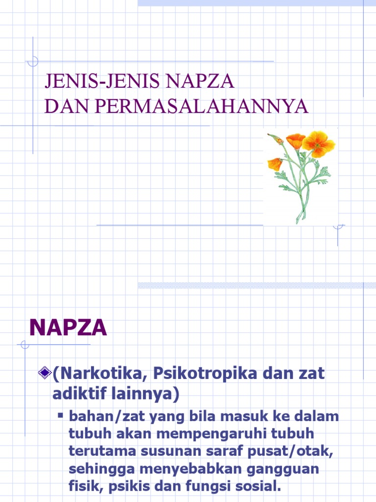 Slide Napza | PDF
