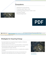 223 M3 EnergyFlowThroughEcosystems