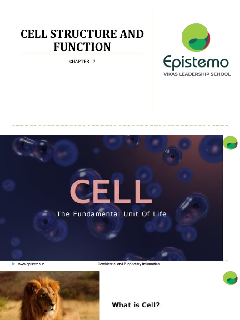 Cell - Structure and Function | PDF
