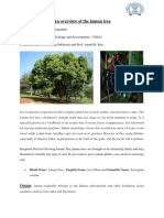Akash Srivastava 22m0201 TD613 TREE Overview