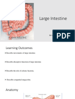 Physilogy Large Intestine