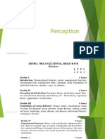 EHS302 OB2 Perception