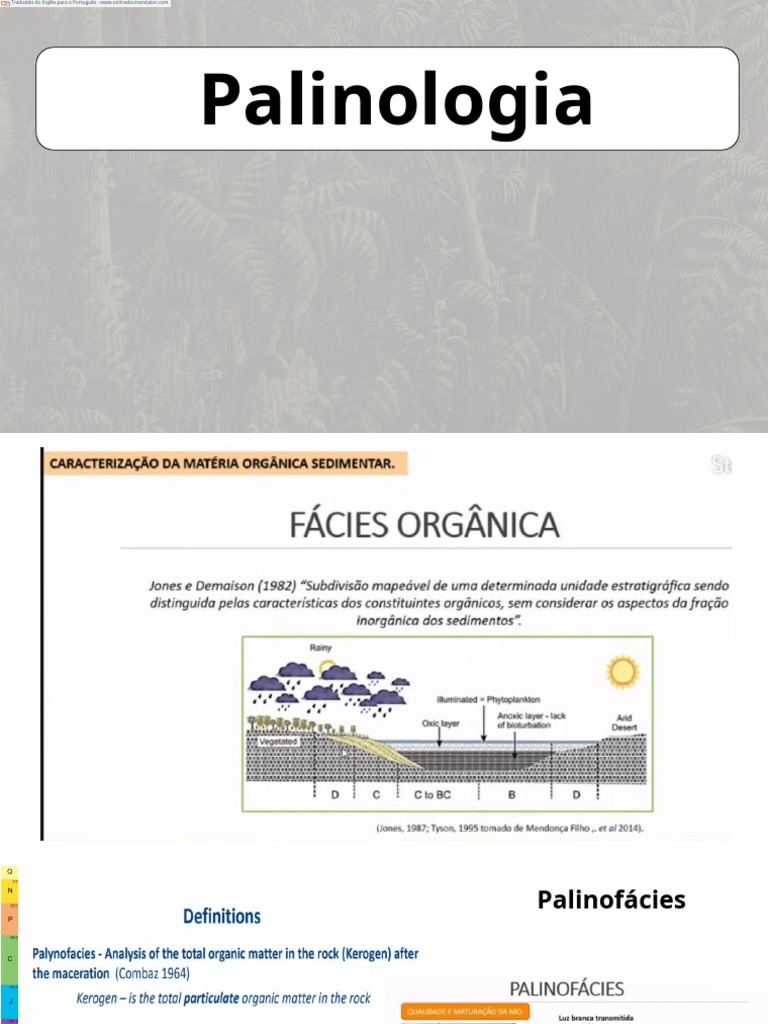 Micropaleontologia en PT PDF Natureza Geociências