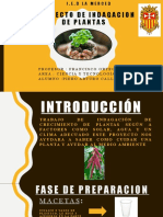 Proyecto Ciencia y Tecnologia Kiwicha