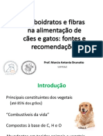 Aula 2 - Carboidratos e Fibras para Cães e Gatos (Prof Marcio)