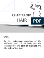 Chapter 14 Hair
