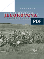 Jegorovova Partizanska Brigada