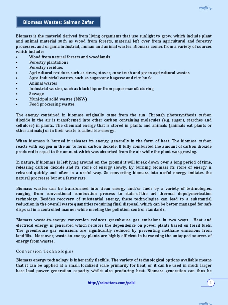 Biomass Waste-to-Energy Conversion Guide | PDF | Biomass | Anaerobic ...