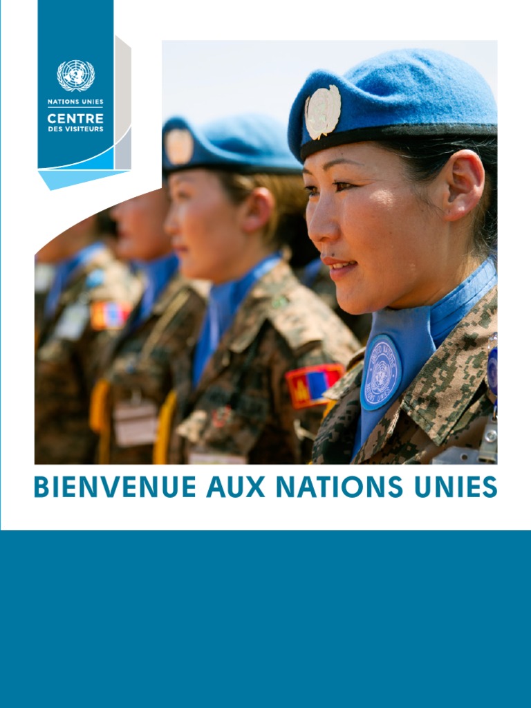 Guide sur l'Organisation des Nations Unies | PDF | Conseil de sécurité ...