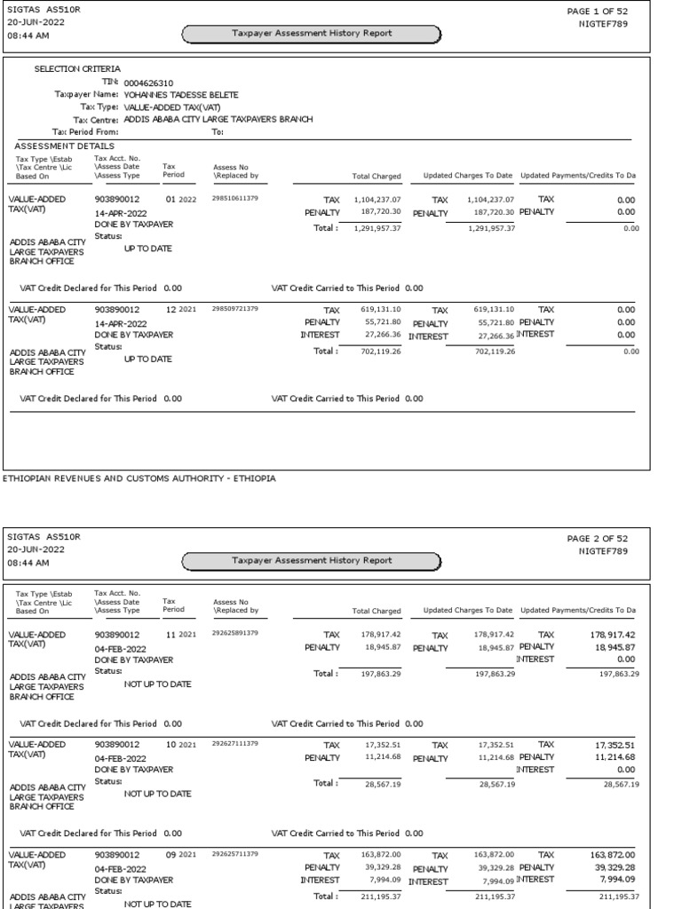 VAT Assessment Report for Ethiopia | PDF | Value Added Tax | Taxes