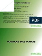 Palestra Doenças Das Mamas 2022