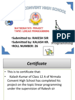 Linear Programming Project Solved